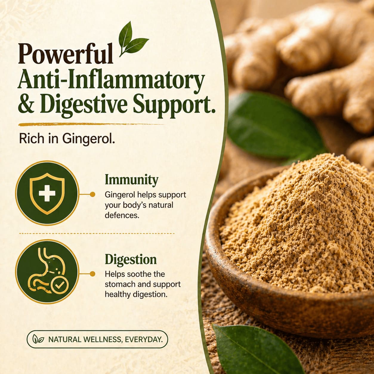 Premium Grade Ginger Powder view 4