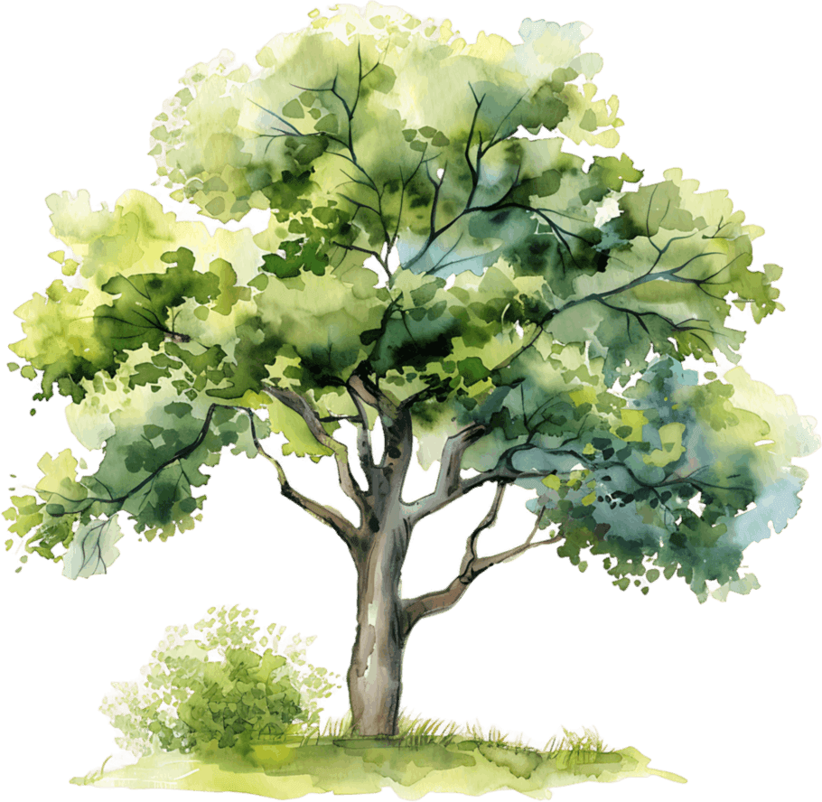 Watercolor illustration of a tree